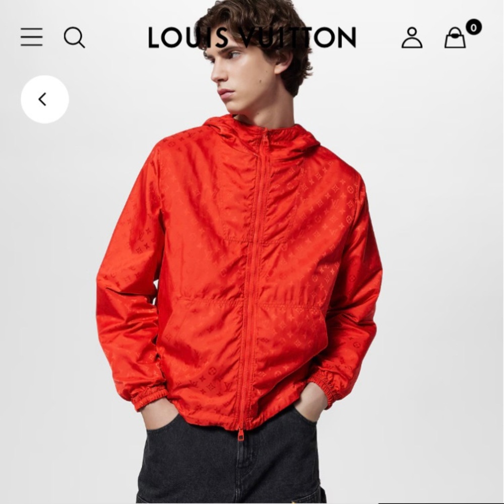 Louis LV Vuitton Monogram
